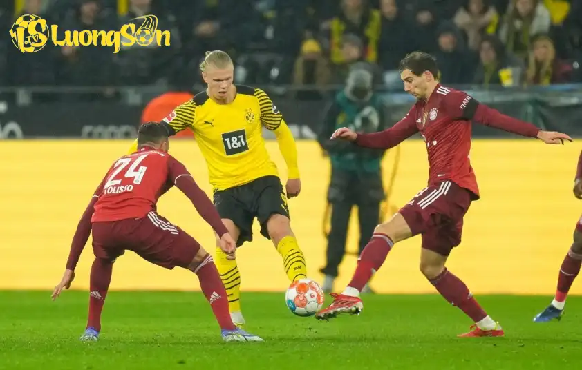 Bayern Munich từng coi Haaland là mục tiêu chuyển nhượng số 1 Bayern Munich từng coi Haaland là mục tiêu chuyển nhượng số 1
